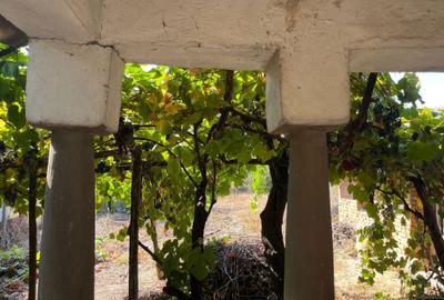 Casă cu 4 camere în Rogova - 4