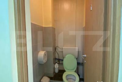 Spațiu comercial, de 300 mp, în Viișoara - 11