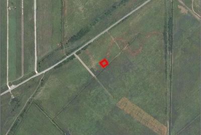 Teren Construcții extravilan de 500 mp, în Ordoreanu - 3