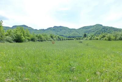 Teren Intravilan - Pretabil Investitie - 5