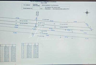Teren cu potential de dezvoltare –7427 mp in Argeselu, Maracineni, judetul Arges - 8