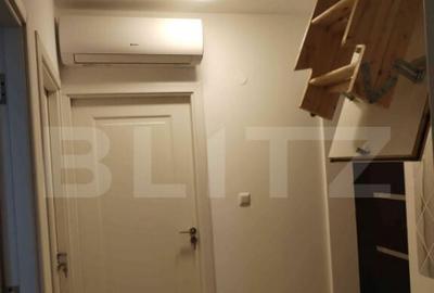 Apartament 2 camere Lunca Cetatuii - 4