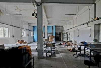 Oportunitate! Teren intravilan 20000 mp si spatiu industrial - 11