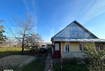 Spațiu comercial, în Lucăcești - 2