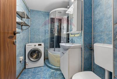 Apartament cu 2 camere de inchiriat in zona Micalaca - 7