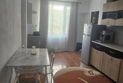 Apartament cu 1 camera - zona Nicolina  - Belvedere - 3