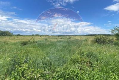 DE VANZARE Teren intravilan 600mp Drumul Piscul Mosului SISESTI - 16