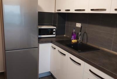 Apartament cu 2 camere decomandat, mobilat în Apărătorii Patriei - 5