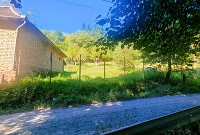 CASA si 2393 mp TEREN INTRAVILAN, Muntii Apuseni, NEGRENI - CLUJ la 1 km de E60 - 13