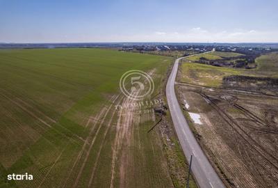 Teren de 80000 mp, în Vasilați - 8