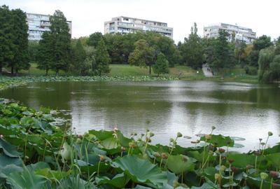 Apartament cu 3 camere semidecomandat, mobilat în Parcul Circului - 6