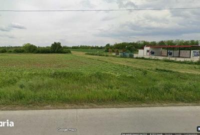 Teren de 10300 mp, în Joița - 1