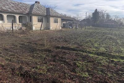 Casă individuală cu 4 camere cu Teren 1550 Mp în Fulga de Jos - 5