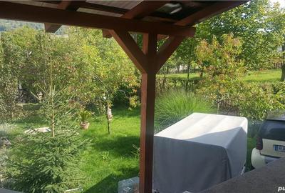 Casă cu Teren 2400 Mp în Cavnic - 9