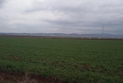 De vanzare terenuri intravilane intre Chilieni si Ozun - 1