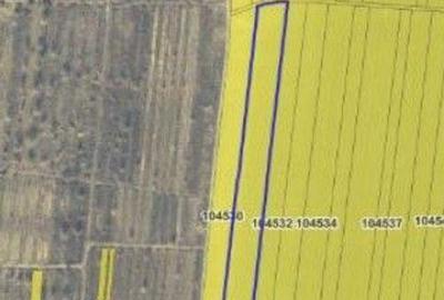 Teren de 13800 mp, în Smârdan - 5