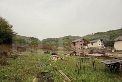 Teren de vanzare, 625 mp, zona Doice?ti Teren de vanzare, 625 mp, zona Doice?ti - 4