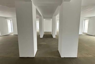 Spațiu comercial, de 250 mp, în Chiajna