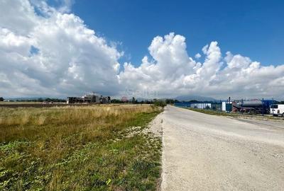 Teren Construcții intravilan de 18134 mp, în Ghimbav Livadă - 4