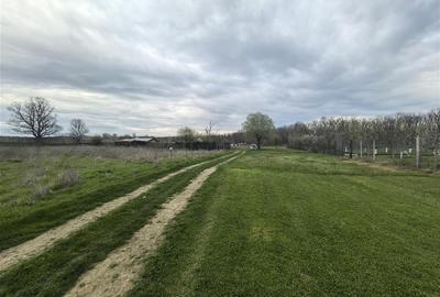 Teren Construcții intravilan de 440 mp, în Vladimirescu - 2