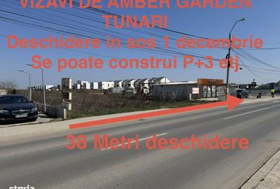 Teren de 10000 mp, în Tunari - 7