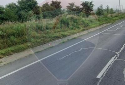 Teren vanzare la DN79 Dolj, Bradesti - 5