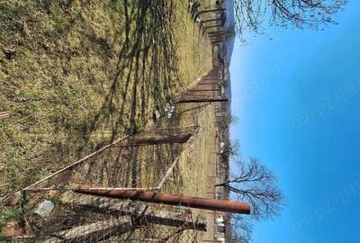 Spațiu comercial, în Lăzărești (Schitu Golești) - 3