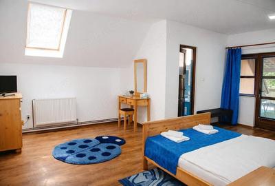 Casă cu Teren 621 Mp în Izbita - 1