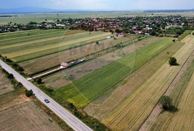 Teren agricol intravilan de 6000 mp, în Biliești - 2