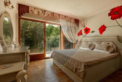 Casa spectaculoasa in Media? re?edin?a antrenorului Cristi Pustai - 18