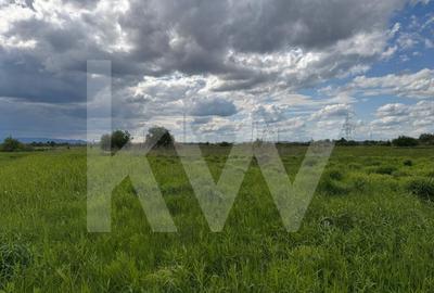 Teren extravilan arabil de vanzare - Bungard, Șelimbar - 6
