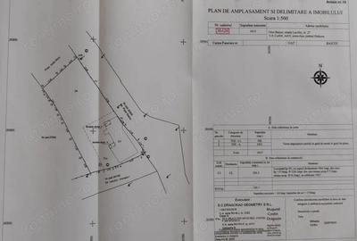 Casă cu 6 camere cu Teren 1613 Mp în Central - 3