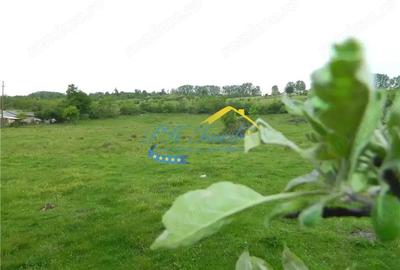 Teren de 4000 mp, în Voila