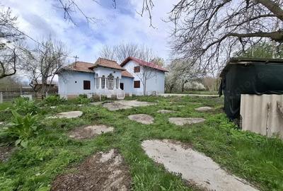 Casă cu 4 camere cu Teren 3850 Mp în Olanu - 1