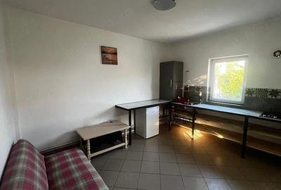 Apartament cu 2 camere semidecomandat în Clinceni - 10