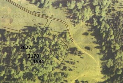 Teren in suprafata de 11 310  mp situat in Rasnov, Paraul Rece - 3