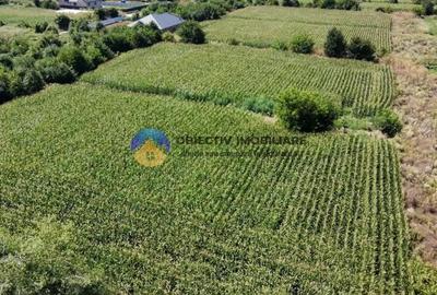 Teren de 3866 mp, în Izvoare (Dumbrava Roșie) - 2