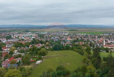 Teren Construcții intravilan de 3175 mp, în Cernatu - 9