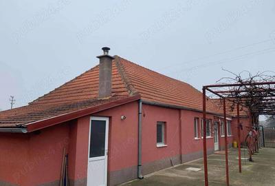 Casa de vanzare in Hodoni jud Timis Casa de vanzare in Hodoni jud Timis - 2