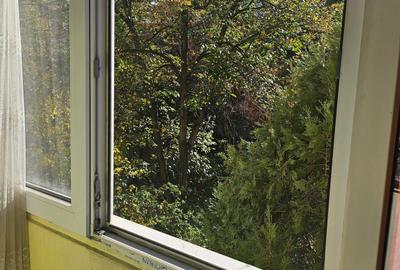 Ozana, Str. Armenis - 15