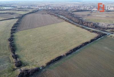 Teren Construcții intravilan de 2000 mp, în Moșnița Nouă - 5