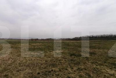 Teren de 750 mp, în Sopor