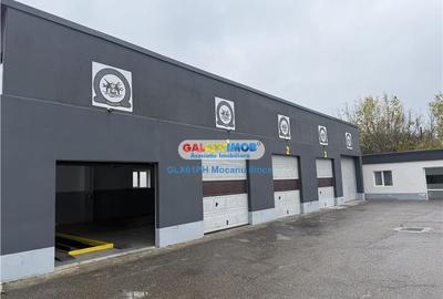 Inchiriere hala 180 mp, in Ploiesti, zona Bulevardul Bucuresti - 9