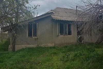 Casă cu 2 camere cu Teren 1400 Mp în Axintele - 3