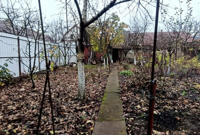 Casa cu gradina langa Cetatea Harman - 4