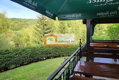 Casă cu 19 camere cu Teren 18600 Mp în Central