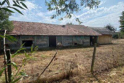 Casă cu 6 camere cu Teren 3400 Mp în Sprâncenata - 7