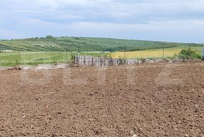 Teren Construcții intravilan de 575 mp, în Șimnicu de Sus - 3