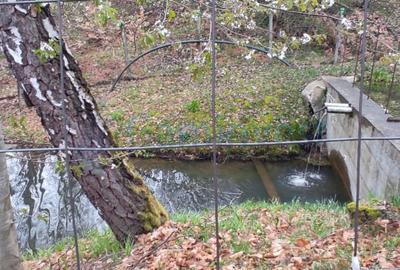 Cabană în zonă montană, Bihor, oportunitate de investiție,Gaminvest, V3155B - 23