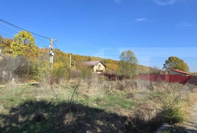 Oportunitate! Teren intravilan 1200 mp, Satul de Vacanta Pod - 2